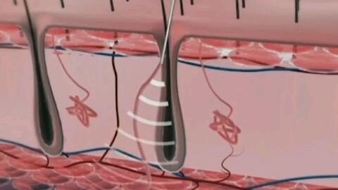 后天的腋臭 狐臭 可以自愈吗